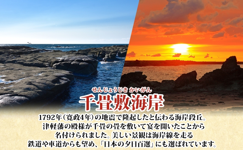 青森県深浦町 千畳敷センターで使える利用券 9,000円分 お食事 飲食 生うに定食 サーモンいくら親子丼 五色丼 ヒラメの漬け丼 ラーメン お土産 オリジナル 自家製 だし粉 ご当地 チケット 送料無料 青森県 深浦町