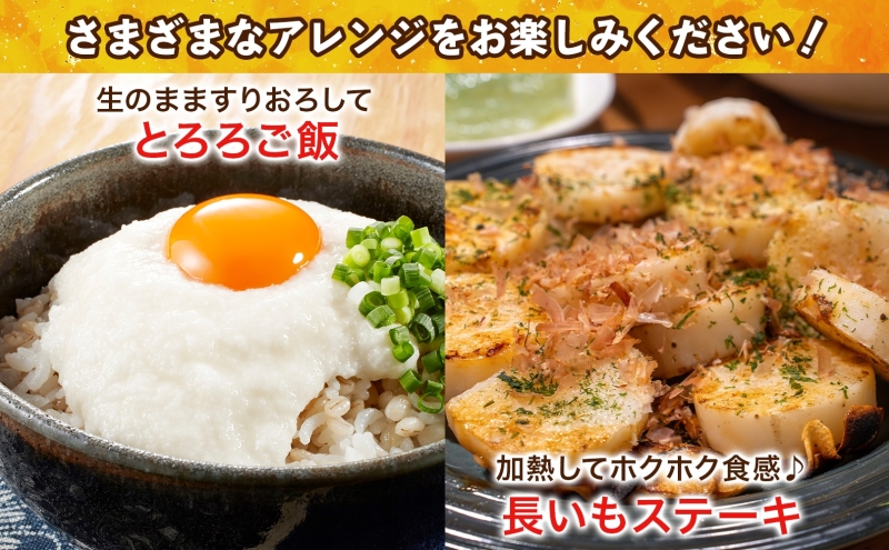 【ふるさと納税】青森県深浦町産 ネバリスター 約5kg 土つき 長芋 根菜 野菜 とろろ 粘り ねばねば 加熱調理 ホクホク 味が濃い 甘み 産地直送 青森県 深浦町 お届け：2025年12月中旬～2026年2月下旬