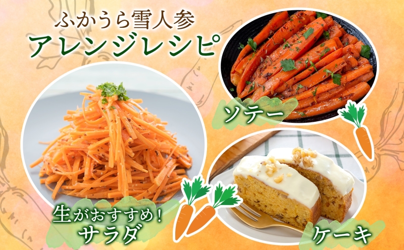 【冬季数量限定】ふかうら雪人参 約5kg 人参 にんじん ニンジン ジュース フルーティー 甘い おいしい ブランド 野菜 青森県 深浦町