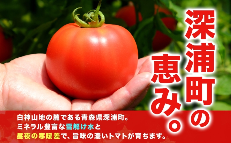 青森県産 桃太郎 トマト 約4kg 20玉前後 7月中旬～11月中旬頃お届け 大玉 tomato 新鮮 野菜 旬 甘い 完熟 ジュース 産地直送 農家直送 お取り寄せ 常温 永谷農園 青森県 深浦町