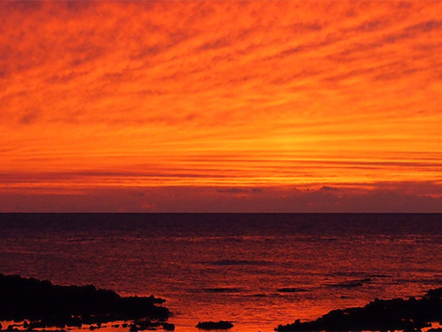 【千畳敷センター】青森県深浦産・無添加だし粉 25g／30g 16本セット【16種類×1本ずつ】