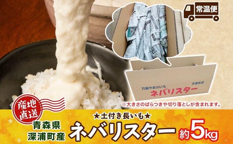 【ふるさと納税】青森県深浦町産 ネバリスター 約5kg 土つき 長芋 根菜 野菜 とろろ 粘り ねばねば 加熱調理 ホクホク 味が濃い 甘み 産地直送 青森県 深浦町 お届け：2025年12月中旬～2026年2月下旬