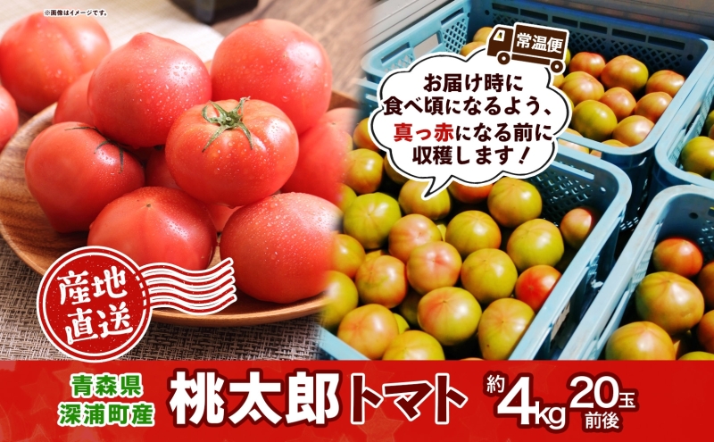 青森県産 桃太郎 トマト 約4kg 20玉前後 7月中旬～11月中旬頃お届け 大玉 tomato 新鮮 野菜 旬 甘い 完熟 ジュース 産地直送 農家直送 お取り寄せ 常温 永谷農園 青森県 深浦町