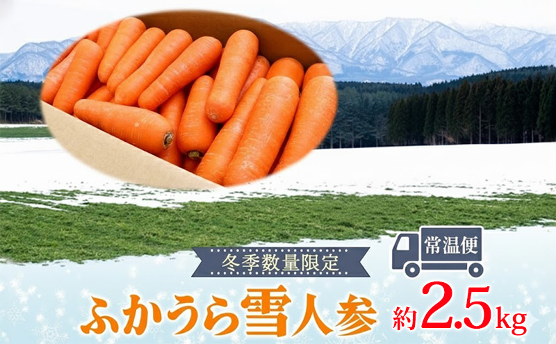 ふかうら雪人参2.5kg（規格外品）雪人参 人参 にんじん ニンジン 野菜 やさい 青森県 深浦町