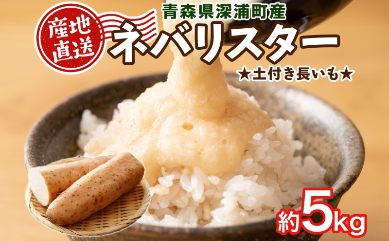 【ふるさと納税】青森県深浦町産 ネバリスター 約5kg 土つき 長芋 根菜 野菜 とろろ 粘り ねばねば 加熱調理 ホクホク 味が濃い 甘み 産地直送 青森県 深浦町 お届け：2025年12月中旬～2026年2月下旬