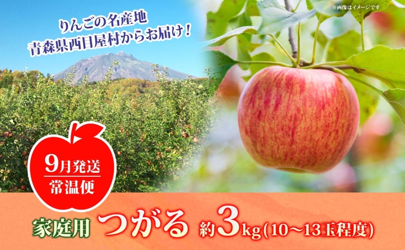 【9月発送】家庭用 つがる 約3kg【西目屋村産・青森りんご】 りんご 林檎 リンゴ 果物 フルーツ くだもの 旬 青森県産 お取り寄せ 詰め合わせ セット 常温 産地直送 送料無料 青森県 西目屋村