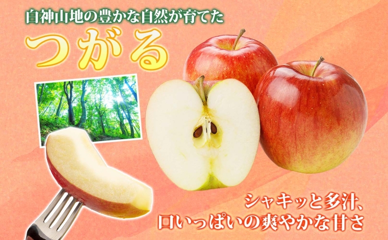 【9月発送】家庭用 つがる 約5kg【西目屋村産・青森りんご】 りんご 林檎 リンゴ 果物 フルーツ くだもの 旬 青森県産 お取り寄せ 詰め合わせ セット 常温 産地直送 送料無料 青森県 西目屋村