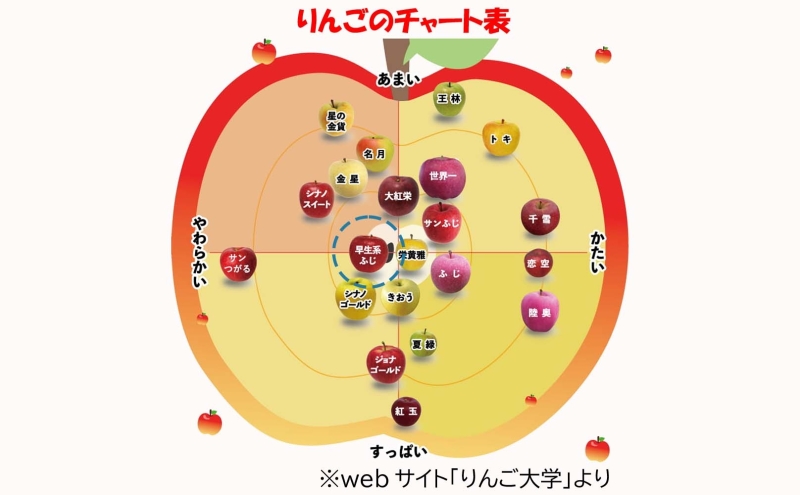 【9月・10月発送】贈答用 早生ふじ 約3kg【西目屋村産・青森りんご】 りんご 林檎 リンゴ 果物 フルーツ くだもの 旬 青森県産 お取り寄せ 詰め合わせ セット 常温 産地直送 送料無料 青森県 西目屋村