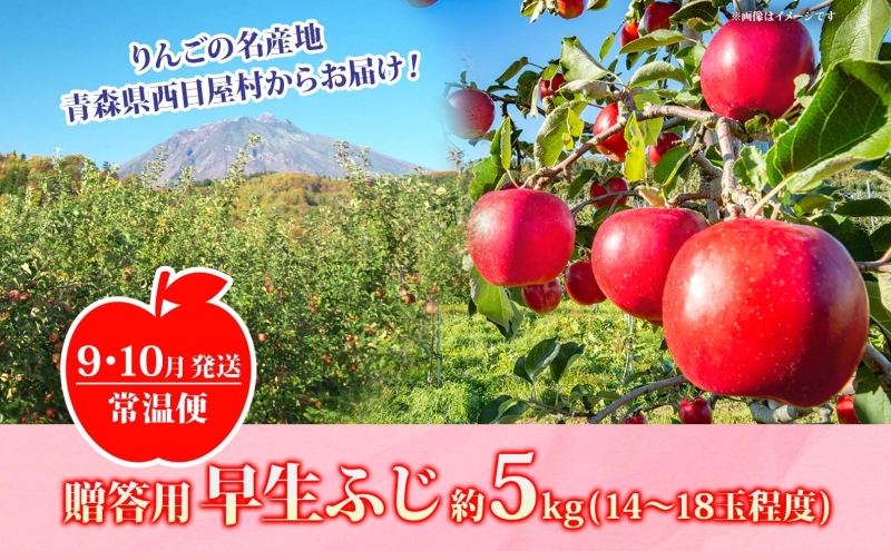 【9月・10月発送】贈答用 早生ふじ 約5kg【西目屋村産・青森りんご】 りんご 林檎 リンゴ 果物 フルーツ くだもの 旬 青森県産 お取り寄せ 詰め合わせ セット 常温 産地直送 送料無料 青森県 西目屋村