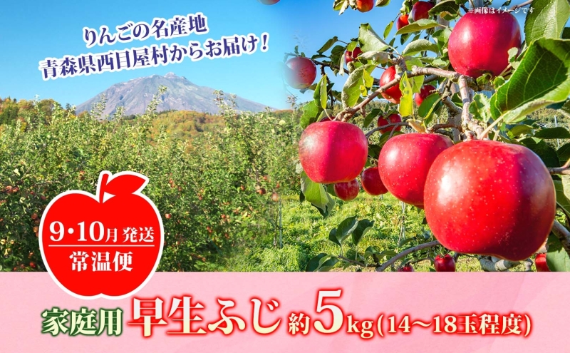 【9月・10月発送】家庭用 早生ふじ 約5kg【西目屋村産・青森りんご】 りんご 林檎 リンゴ 果物 フルーツ くだもの 旬 青森県産 お取り寄せ 詰め合わせ セット 常温 産地直送 送料無料 青森県 西目屋村