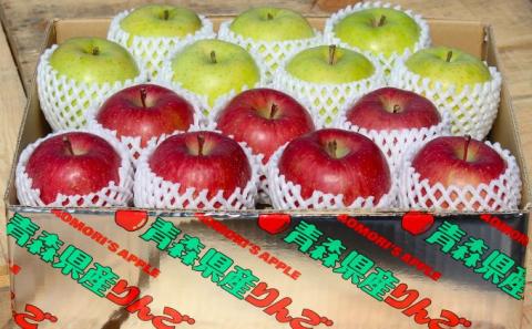 【3月発送】贈答用 サンふじ・王林詰め合わせ 約10kg【青森りんご】