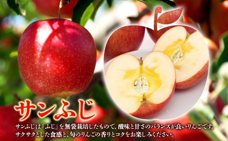 サンふじ 王林 約10kg 贈答用 特A 2月発送 化粧箱入 りんご リンゴ 果物 フルーツ くだもの 旬 青森県産 お取り寄せ 贈り物 青森県 西目屋村