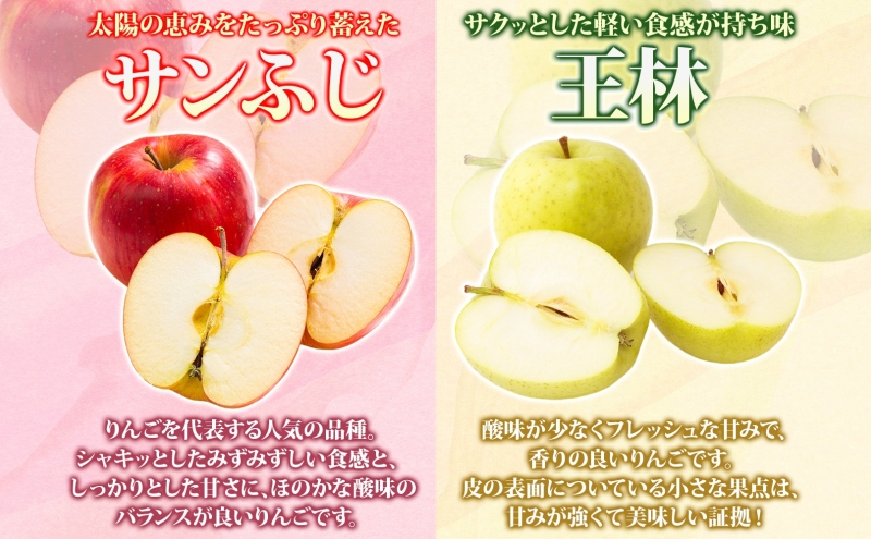 【2月発送】 贈答用 サンふじ 王林 約10kg りんご 林檎 リンゴ 果物 フルーツ くだもの 旬 青森県産 お取り寄せ 詰め合わせ セット 人気 東北 名産 常温 産地直送 送料無料 青森県 西目屋村 お届け：2026年2月1日～2026年2月27日