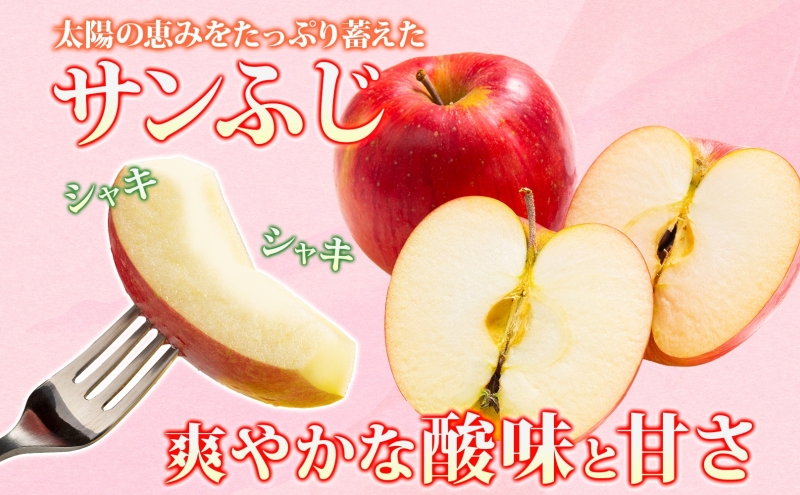 【3月発送】 贈答用 サンふじ 約3kg りんご 林檎 リンゴ 果物 フルーツ くだもの 旬 青森県産 お取り寄せ 贈り物 プレゼント 人気 東北 名産 常温 産地直送 送料無料 青森県 西目屋村