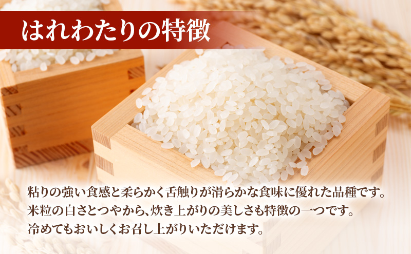 R7年産 ライスボール はれわたり 2kg お米 米 ライス rice 国産 白米 青森県産 精米 特A おにぎり リゾット 炊き立て 弁当 備蓄 常備 一人暮らし お取り寄せ 常温 青森県 西目屋村