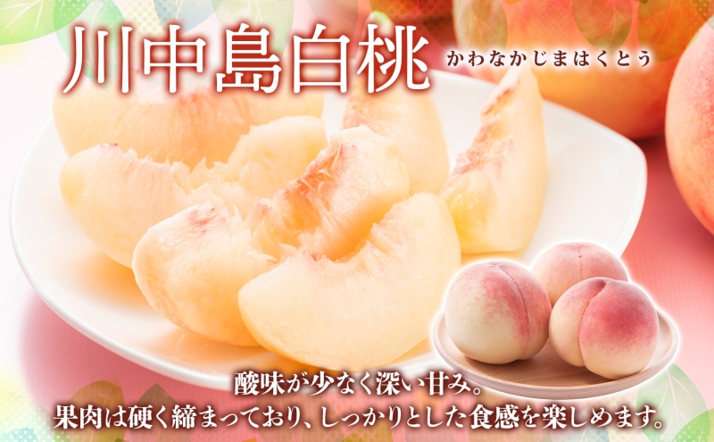 桃 川中島白桃 約2kg 6～9玉 特秀 8月下旬～9月上旬配送 先行予約 白桃 糖度14度以上 もも 果実 フルーツ デザート 国産 青森県産 甘い 果樹 贅沢 お取り寄せ 産地直送 ギフト 贈答 青森県 西目屋村