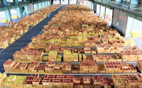 【3月発送】贈答用 サンふじ・王林詰め合わせ 約10kg【青森りんご】