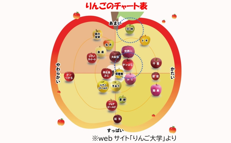 【1月発送】 贈答用 サンふじ 王林 約10kg りんご 林檎 リンゴ 果物 フルーツ くだもの 旬 青森県産 お取り寄せ 詰め合わせ セット 人気 東北 名産 常温 産地直送 送料無料 青森県 西目屋村 お届け：2026年1月6日～2026年1月30日