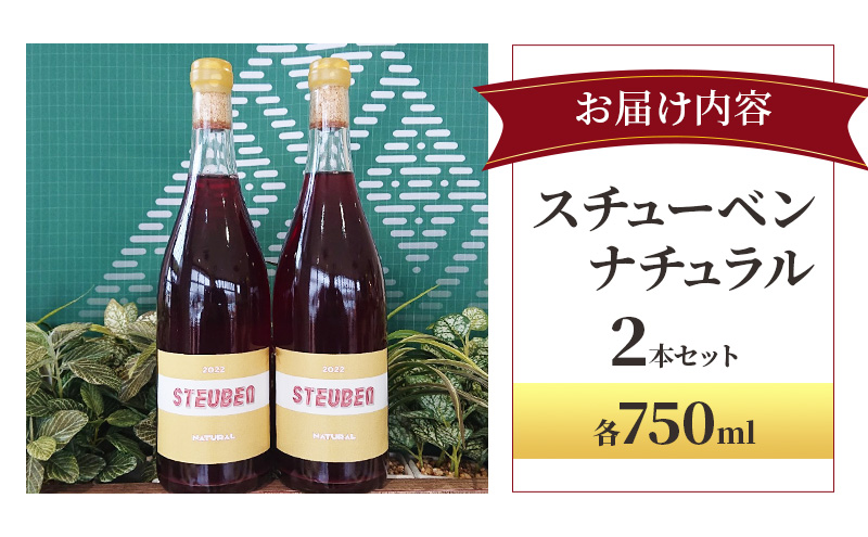 スチューベンナチュラル 750ml×2本セット  お酒 ワイン 赤ワイン 青森県産 スチューベン 無濾過・無添加