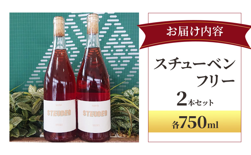 スチューベンフリー 750ml×2本セット  お酒 ワイン 赤ワイン 青森県産 スチューベン 無濾過・無添加