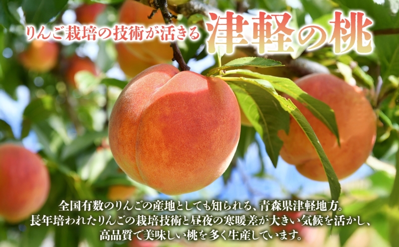 桃 川中島白桃 約2kg 6～9玉 特秀 8月下旬～9月上旬配送 先行予約 白桃 糖度14度以上 もも 果実 フルーツ デザート 国産 青森県産 甘い 果樹 贅沢 お取り寄せ 産地直送 ギフト 贈答 青森県 西目屋村