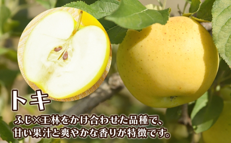 青森県産 りんご トキ 2kg 青森 リンゴ 林檎 とき 果汁 果物 フルーツ アップル 新鮮 おやつ デザート プレゼント 贈り物 お取り寄せ 常温 送料無料 青森県 西目屋村