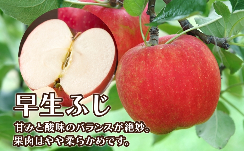 青森県産 りんご 早生ふじ 2kg 青森 リンゴ 林檎 早生 ふじ 果汁 果物 フルーツ アップル 新鮮 おやつ デザート プレゼント 贈り物 お取り寄せ 常温 送料無料 青森県 西目屋村