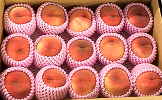 【9月配送】桃（川中島白桃）約5kg【青森県津軽産】