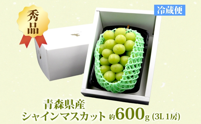 シャインマスカット 秀品 1房 約600g 青森県産 ぶどう ブドウ 葡萄 種なし 大粒 果物 フルーツ くだもの 果実 旬 贈答用 化粧箱 贈り物 人気 お取り寄せ 産地直送 青森県 西目屋村