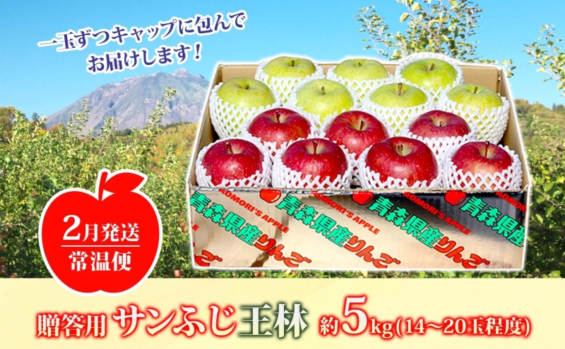 【2月発送】 贈答用 サンふじ 王林 約5kg りんご 林檎 リンゴ 果物 フルーツ くだもの 旬 青森県産 お取り寄せ 詰め合わせ セット 人気 東北 名産 常温 産地直送 送料無料 青森県 西目屋村