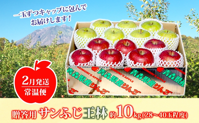 【2月発送】 贈答用 サンふじ 王林 約10kg りんご 林檎 リンゴ 果物 フルーツ くだもの 旬 青森県産 お取り寄せ 詰め合わせ セット 人気 東北 名産 常温 産地直送 送料無料 青森県 西目屋村 お届け：2026年2月1日～2026年2月27日