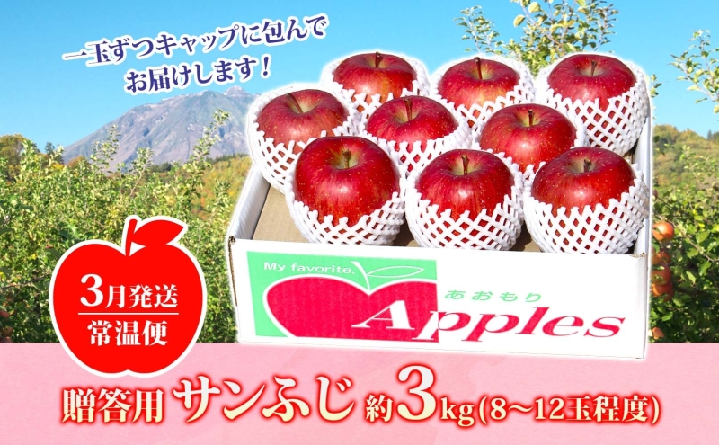 【3月発送】 贈答用 サンふじ 約3kg りんご 林檎 リンゴ 果物 フルーツ くだもの 旬 青森県産 お取り寄せ 贈り物 プレゼント 人気 東北 名産 常温 産地直送 送料無料 青森県 西目屋村