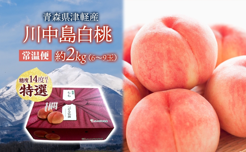 桃 川中島白桃 約2kg 6～9玉 特選 8月下旬～9月上旬配送 先行予約 白桃 糖度14度以上 もも 果実 フルーツ デザート 国産 青森県産 甘い 果樹 贅沢 お取り寄せ 産地直送 ギフト 贈答 青森県 西目屋村