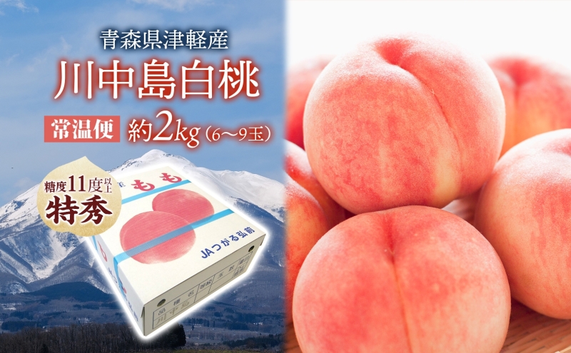 桃 川中島白桃 約2kg 6～9玉 特秀 8月下旬～9月上旬配送 先行予約 白桃 糖度14度以上 もも 果実 フルーツ デザート 国産 青森県産 甘い 果樹 贅沢 お取り寄せ 産地直送 ギフト 贈答 青森県 西目屋村