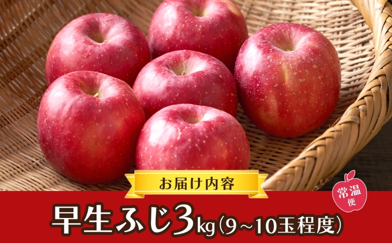 青森県産 りんご 早生ふじ 3kg 青森 リンゴ 林檎 早生 ふじ 果汁 果物 フルーツ アップル 新鮮 おやつ デザート プレゼント 贈り物 お取り寄せ 常温 送料無料 青森県 西目屋村