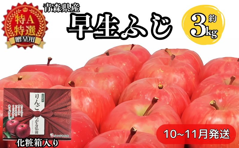 化粧箱入り早生ふじ約3kg贈答用【特A】（10月発送）青森県産