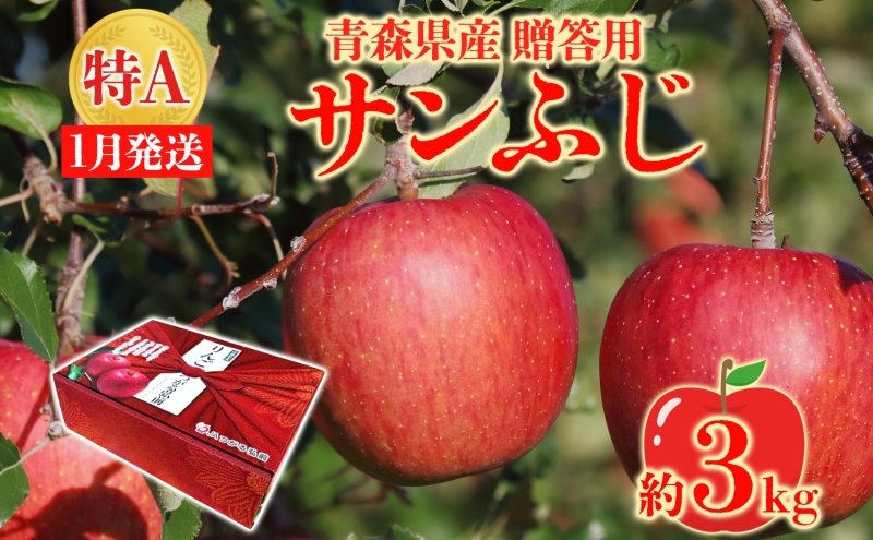 サンふじ 約3kg 贈答用 特A 特選 1月発送 化粧箱入 りんご 林檎 リンゴ 果物 フルーツ くだもの 旬 青森県産 お取り寄せ 贈り物 プレゼント 人気 東北 名産 産地直送 常温 青森県 西目屋村