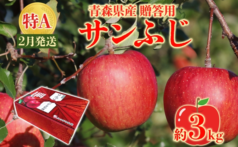 サンふじ 約3kg 贈答用 特A 特選 2月発送 化粧箱入 りんご 林檎 リンゴ 果物 フルーツ くだもの 旬 青森県産 お取り寄せ 贈り物 プレゼント 人気 東北 名産 産地直送 常温 青森県 西目屋村