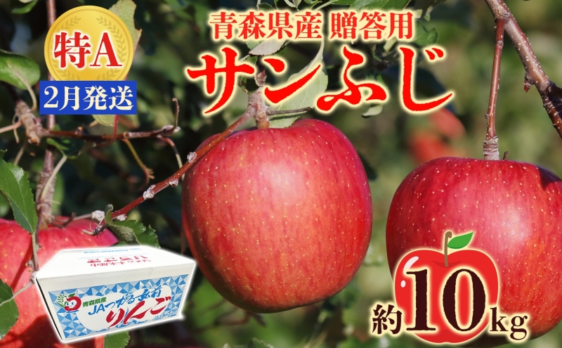 サンふじ 約10kg 贈答用 特A 2月発送 化粧箱入 りんご 林檎 リンゴ 果物 フルーツ くだもの 旬 青森県産 お取り寄せ 贈り物 プレゼント 青森県 西目屋村