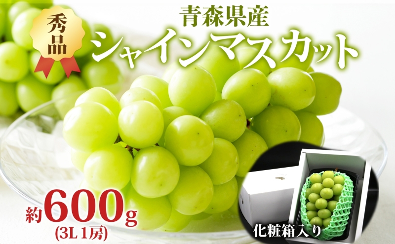 シャインマスカット 秀品 1房 約600g 青森県産 ぶどう ブドウ 葡萄 種なし 大粒 果物 フルーツ くだもの 果実 旬 贈答用 化粧箱 贈り物 人気 お取り寄せ 産地直送 青森県 西目屋村