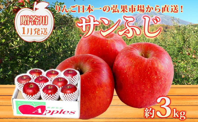 【1月発送】 贈答用 サンふじ 約3kg りんご 林檎 リンゴ 果物 フルーツ くだもの 旬 青森県産 お取り寄せ 贈り物 プレゼント 人気 東北 名産 常温 産地直送 送料無料 青森県 西目屋村