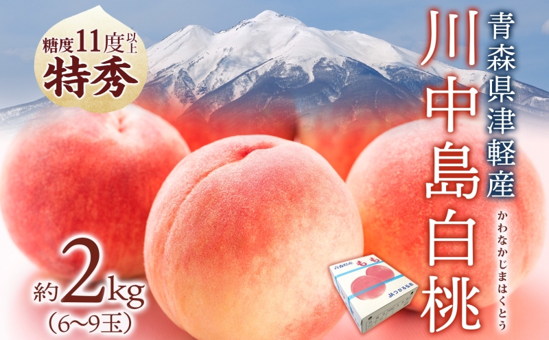 桃 川中島白桃 約2kg 6～9玉 特秀 8月下旬～9月上旬配送 先行予約 白桃 糖度14度以上 もも 果実 フルーツ デザート 国産 青森県産 甘い 果樹 贅沢 お取り寄せ 産地直送 ギフト 贈答 青森県 西目屋村