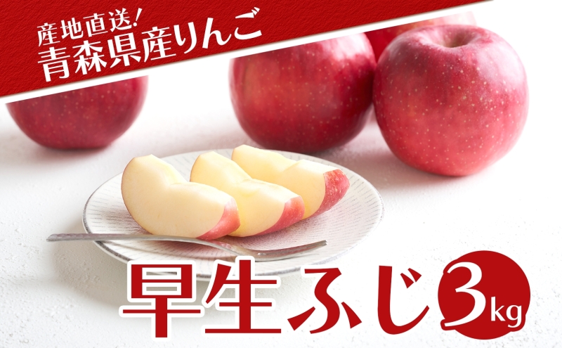 青森県産 りんご 早生ふじ 3kg 青森 リンゴ 林檎 早生 ふじ 果汁 果物 フルーツ アップル 新鮮 おやつ デザート プレゼント 贈り物 お取り寄せ 常温 送料無料 青森県 西目屋村