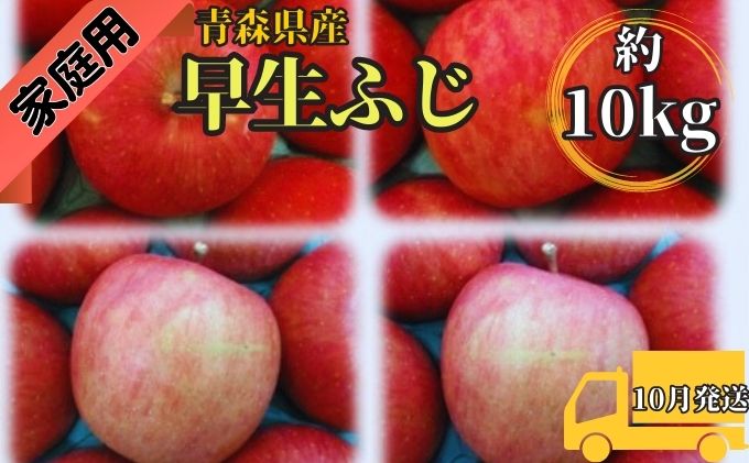 早生ふじ約10kg 家庭用青森県産（10月発送）