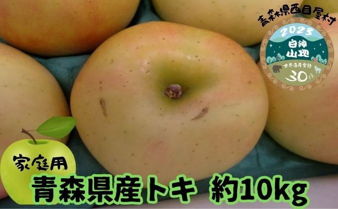 【青森県産りんご】家庭用トキ 約10kg