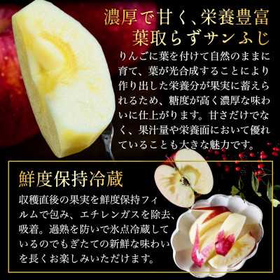 葉とらずサンふじ 大玉 約3kg(6～8玉) ご家庭用りんご(訳あり) 青森県産リンゴ 青森林檎【配送不可地域：離島・沖縄県】