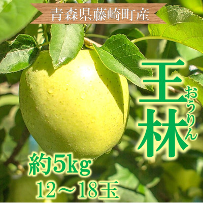 青森県藤崎町産りんご　王林　家庭用　約5kg【配送不可地域：離島・沖縄県】