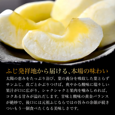 厳選・高級 葉とらずサンふじ 特A 12玉 元祖ふじりんご 青森林檎【配送不可地域：離島・沖縄県】