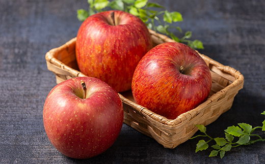 サンふじ 家庭用 約3kg(8～12個)【配送不可地域：離島・沖縄県】