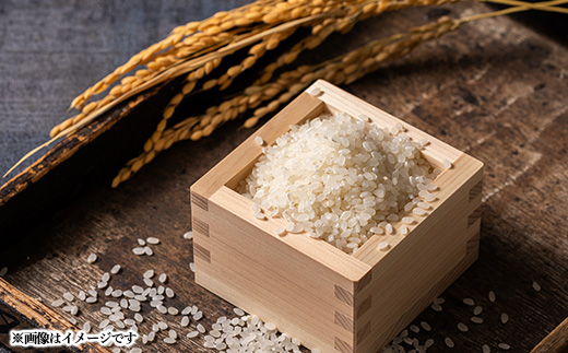 青森県産　まっしぐら　白米10kg【配送不可地域：離島・沖縄県】